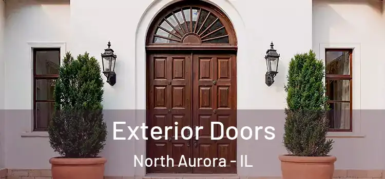 Exterior Doors North Aurora - IL