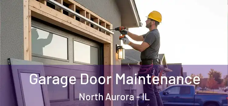 Garage Door Maintenance North Aurora - IL