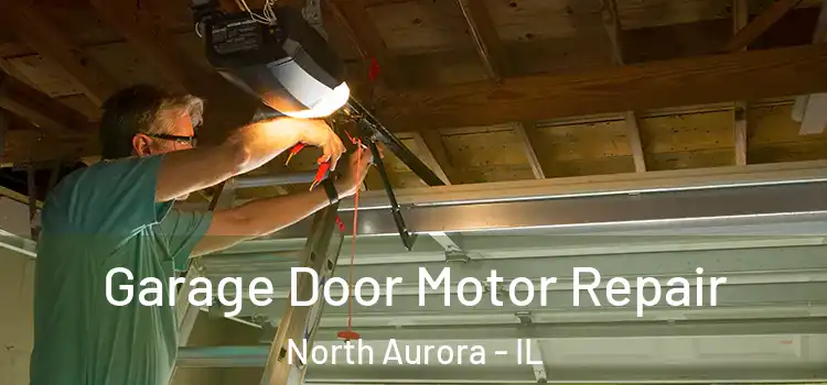  Garage Door Motor Repair North Aurora - IL