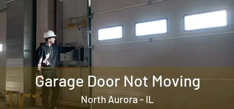  Garage Door Not Moving North Aurora - IL