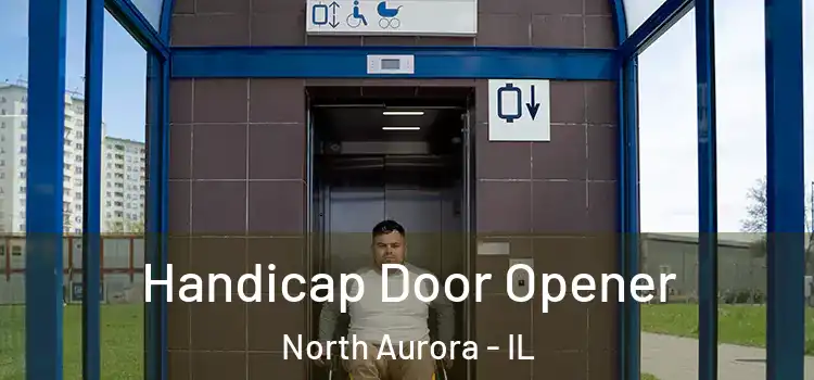  Handicap Door Opener North Aurora - IL