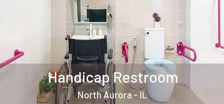 Handicap Restroom North Aurora - IL