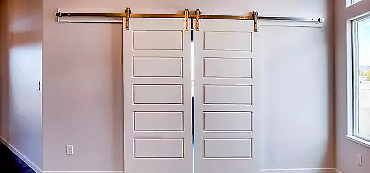 Glass Barn Door with Installation Hardware Kit North Aurora