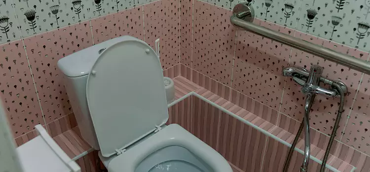 Meeting Diverse Needs With Accessible Restroom Solutions in North Aurora, IL