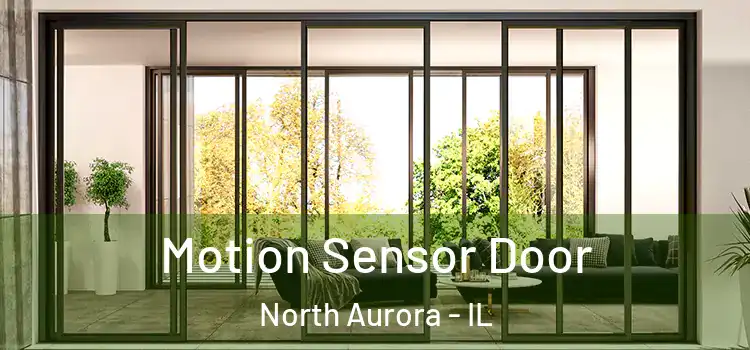Motion Sensor Door North Aurora - IL