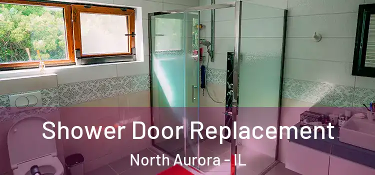  Shower Door Replacement North Aurora - IL