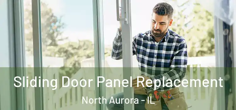  Sliding Door Panel Replacement North Aurora - IL