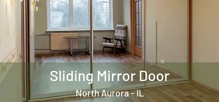  Sliding Mirror Door North Aurora - IL