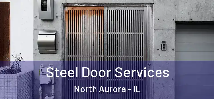  Steel Door Services North Aurora - IL